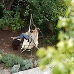 Bed & Breakfast New Wellness & Boutique Rovinj