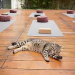 New Wellness & Boutique Bed & Breakfast *