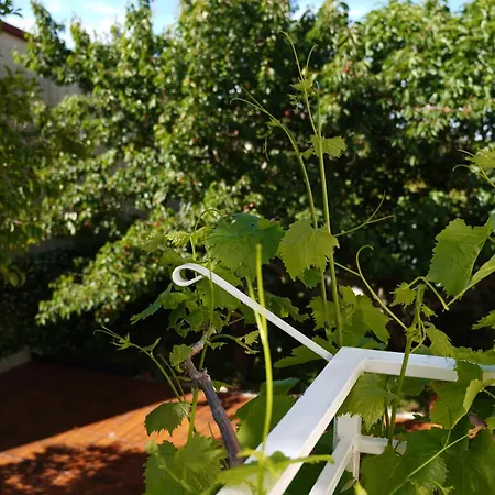 New Wellness & Boutique Rovinj