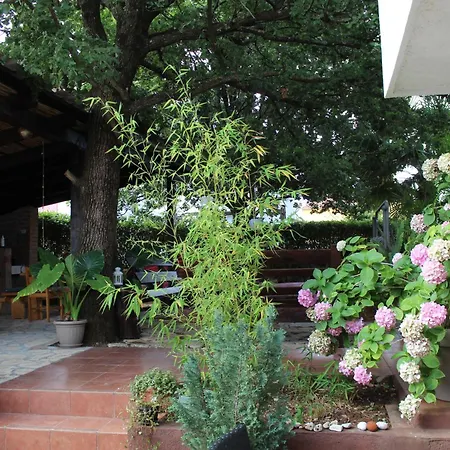 Yoga, Bed & Vegan Breakfast Bed & Breakfast Rovinj
